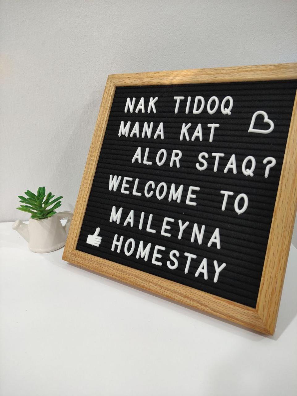 Maileyna 1.0